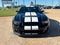 2013 Ford Shelby GT500 Shelby GT500