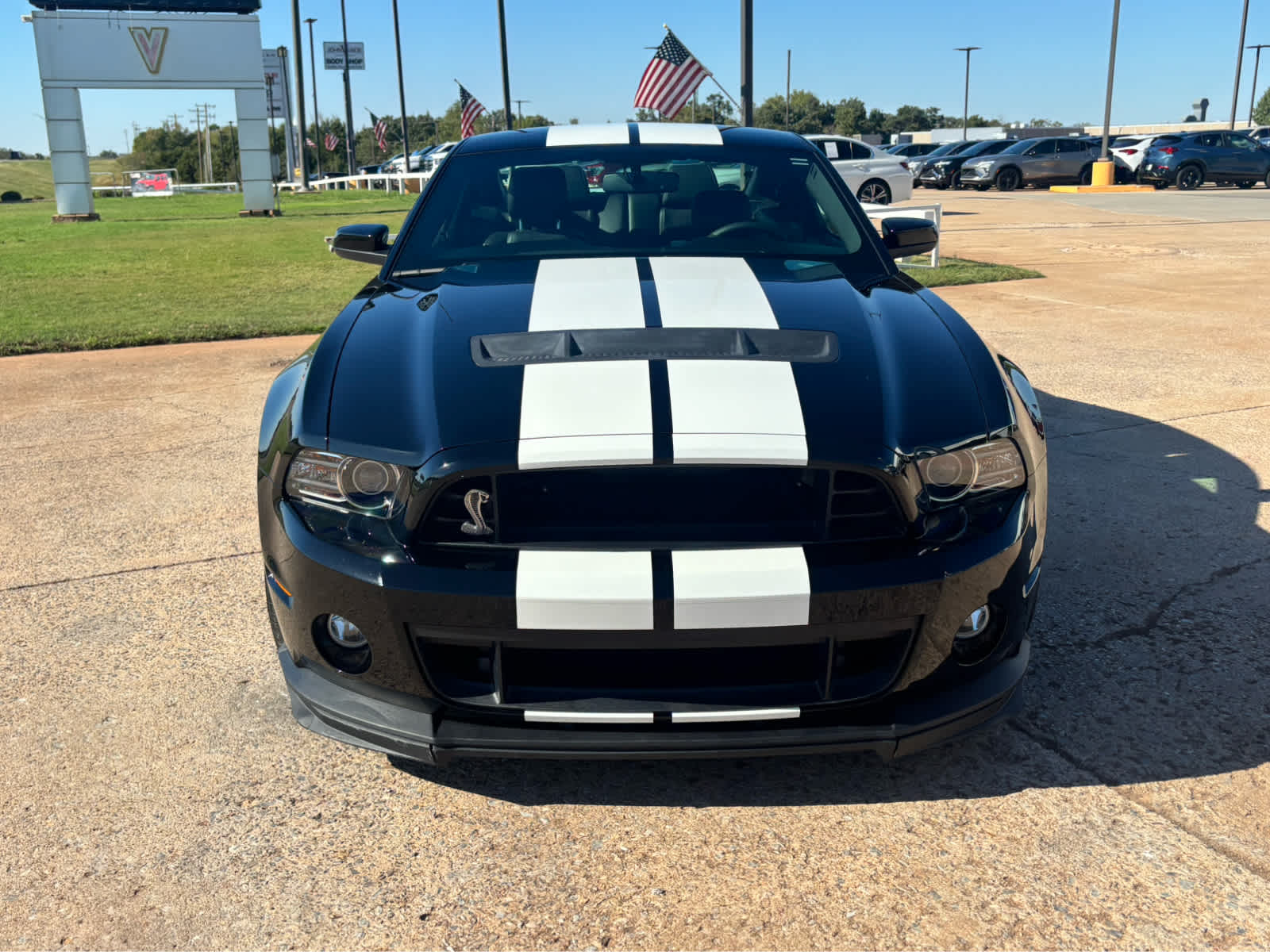 2013 Ford Shelby GT500 Shelby GT500