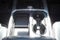 2018 Ford Super Duty F-350 DRW Pickup Platinum